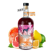 Windspiel Aperitivo Bitter - Orangen - Likör - GiNFAMILY